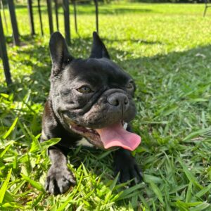 Imagen de WhatsApp 2025-08-13 a las 08.39.34_157d9a76