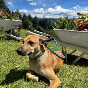 Imagen de WhatsApp 2025-08-13 a las 08.47.32_9cdf87e9