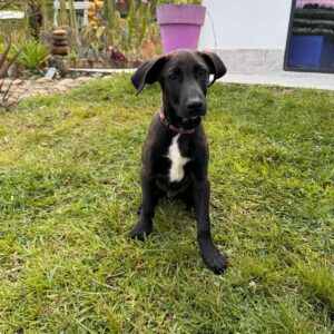 Imagen de WhatsApp 2025-08-16 a las 11.36.50_d668f3b2