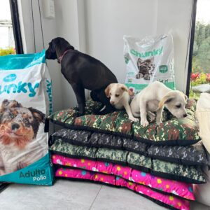 Imagen de WhatsApp 2025-08-16 a las 15.32.33_bf0b8662