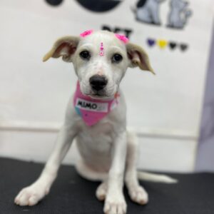 Imagen de WhatsApp 2025-08-29 a las 17.27.36_df101475