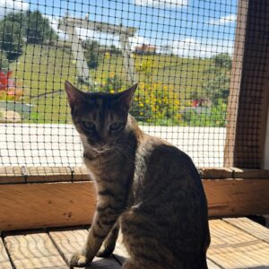 Imagen de WhatsApp 2025-09-02 a las 12.56.43_55f0a876