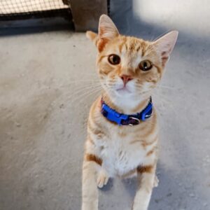 Imagen de WhatsApp 2025-10-21 a las 19.22.44_e5956a08